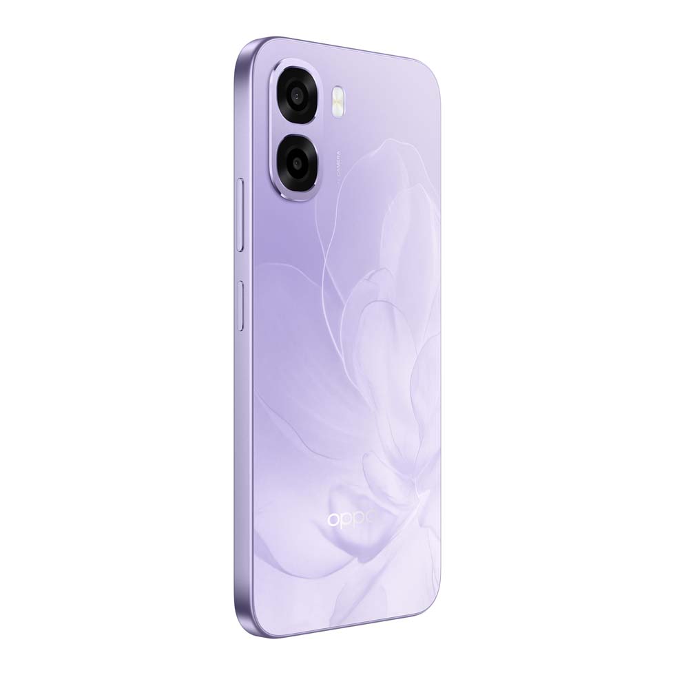 MORADO 4