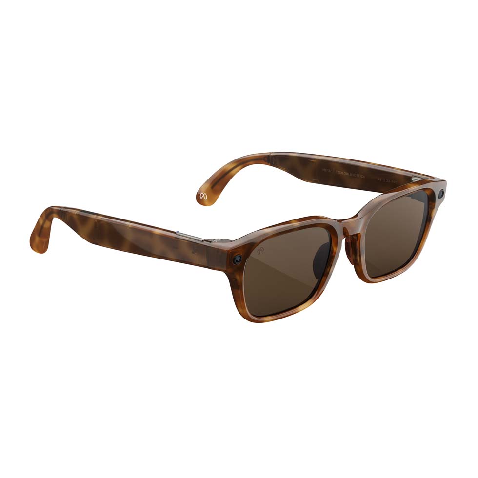 Adventurer Tortoise MARRON