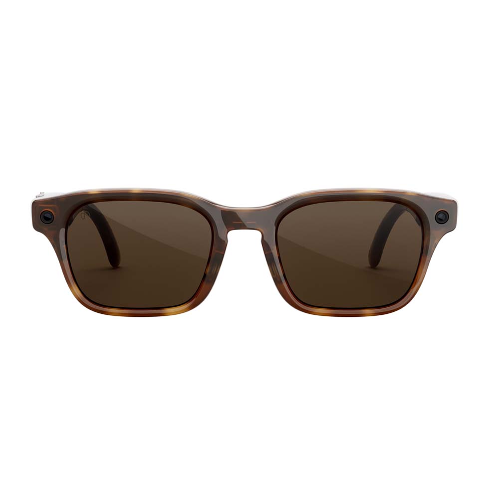 Adventurer Tortoise MARRON