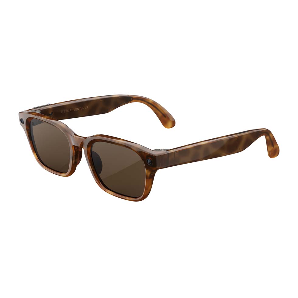 Adventurer Tortoise MARRON