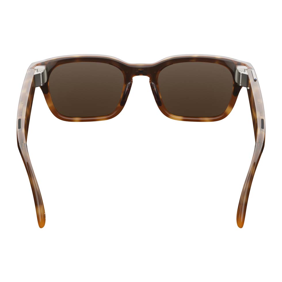 Adventurer Tortoise MARRON