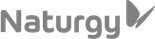Naturgy
